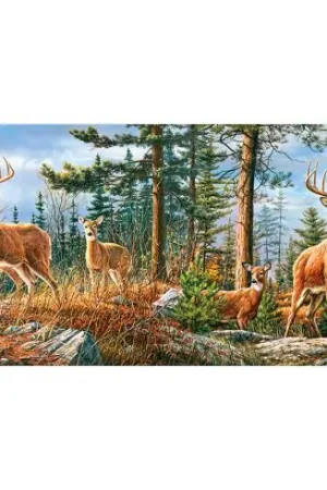 puzzle - Famiglia reale di cervi - 4000 pezzi - Castorland Prezzo Conveniente