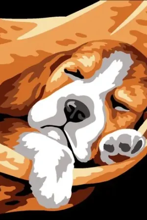 Direttamente Dal Produttore Kit di tela per bambini - Riposo canino - Margot de Paris