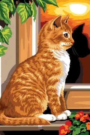 Canovaccio antico - Il riflesso del gatto - Margot de Paris Consegna Rapida