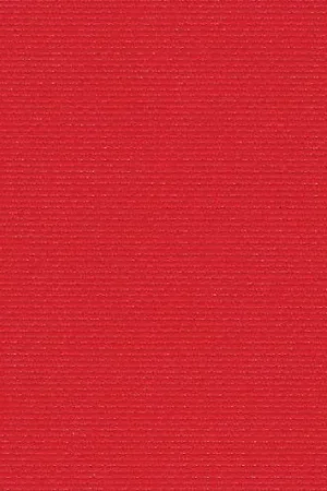 Scelto Dai Clienti Tela da ricamo - Aïda (954) rosso 7 in coupon o al metro - Zweigart