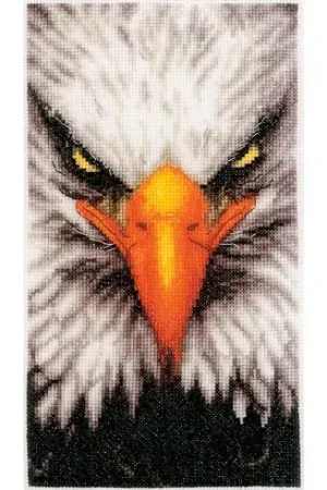 Compra Online kit ricamo a punto croce - Aquila - Lanarte