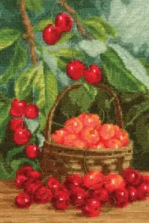 Consegna Rapida kit ricamo a punto croce - Ciliegie da giardino - Toison d'or
