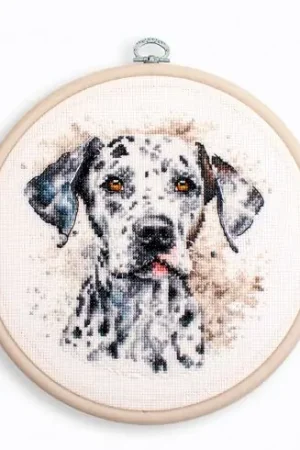 Kit per ricamo a punto croce con tamburo - Dalmata - Luca-S Popolare
