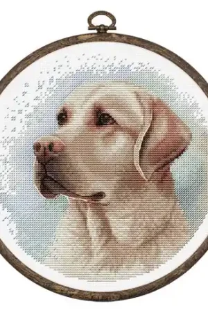 Prezzo Ridotto Kit per ricamo a punto croce con tamburo - Il Labrador retriever - Luca-S