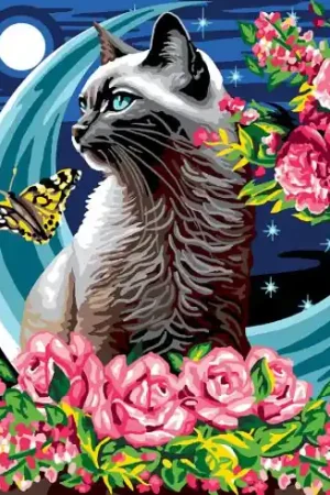 Pagamento Sicuro Canovaccio antico - Il mistero della notte - Luc Créations