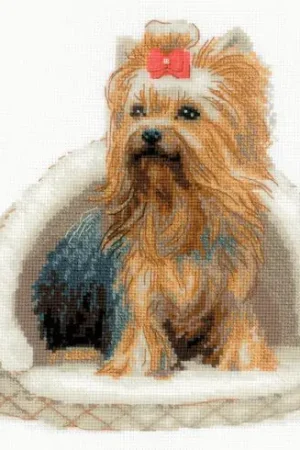 Vendita Finale kit ricamo a punto croce - Yorkshire terrier - Riolis