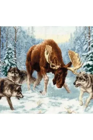 Di Tendenza kit ricamo a punto croce - L'incontro con la foresta - Toison d'or