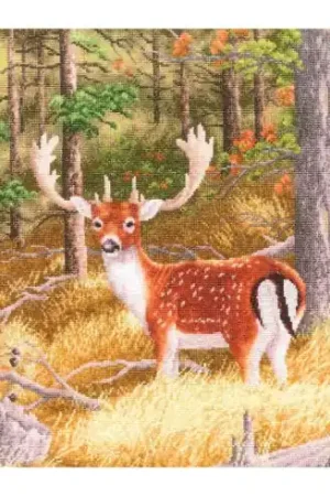 kit ricamo a punto croce - Cervo di foresta - Toison d'or Offerta Speciale