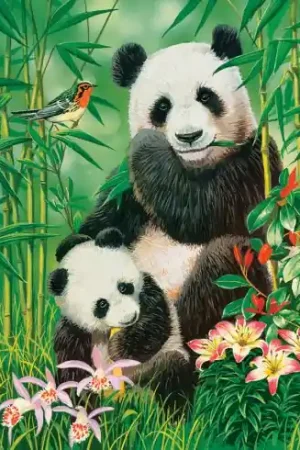 puzzle - Panda brunch - 1000 pezzi - Castorland Non Perdere