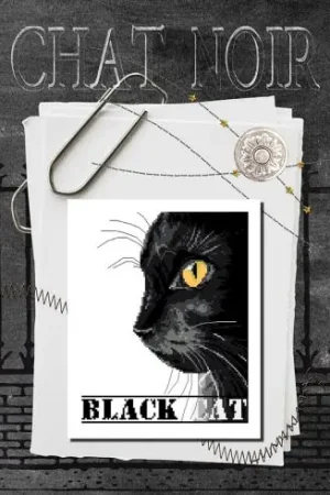 Foglio di punto croce - Il gatto nero - Isabelle Haccourt Vautier Subito Disponibile