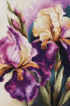 kit ricamo a punto croce - Iris Burgermeister - Luca-S Prezzo Basso