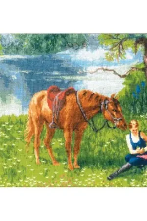 Offerta Speciale kit ricamo a punto croce - Divertimento estivo - Toison d'or