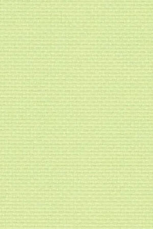 Compra Adesso Tela da ricamo - Aïda (6122) Verde anice 5,5 in coupon o al metro - Zweigart