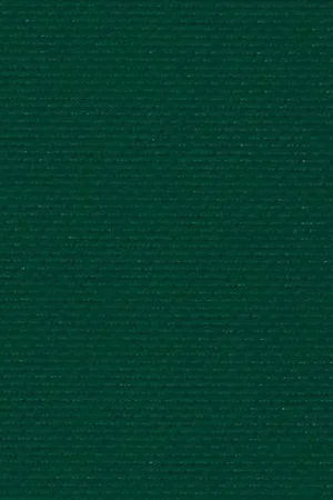 Tela da ricamo - Aïda (647) Verde abete 5,5 in coupon o al metro - Zweigart Promozione