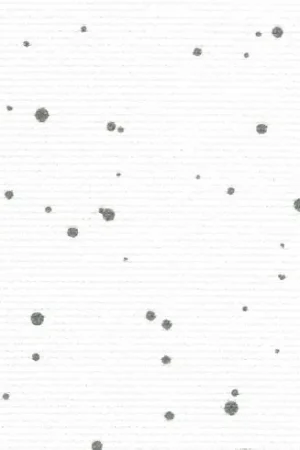 Tela da ricamo - Aïda (1329) Bianco Splash Grey 5,5 in coupon o al metro - Zweigart Offerta Del Giorno