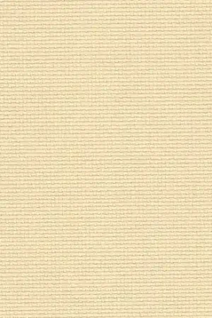 Vendita Finale Tela da ricamo - Aïda (3740) Pergamena 7 in coupon o al metro - Zweigart