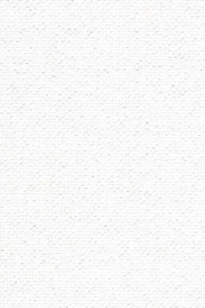 Tela da ricamo - Aïda (11) Bianco cangiante 8 a metro o a mazzo - Zweigart Saldi