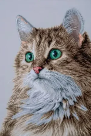 kit ricamo a punto croce - Look perfetto - Lanarte Affare