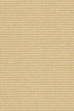 Pagamento Sicuro Tela da ricamo - Aïda (3740) Pergamena 5,5 in coupon o al metro - Zweigart