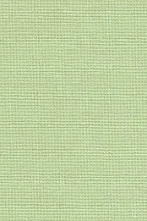 Occasione Tela da ricamo - Etamine Murano 12,6 fili Verde mandorla (6083) en coupon o al metro - Zweigart