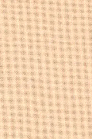 Spedizione Gratuita Tela da ricamo - Etamine Lugana 10 fili Salmone (4094) in coupon o a metraggio - Zweigart