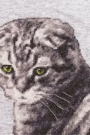 Kit di personalizzazione - Gatto grigio - Toison d'or Offerta Del Giorno