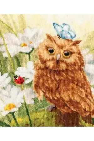 Reso Gratuito kit ricamo a punto croce - Gufo tra le margherite - Toison d'or