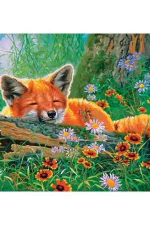 puzzle - Sogni di volpe - 500 pezzi - Castorland Spedito Oggi