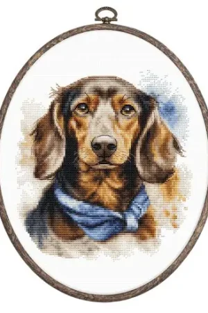 Kit per ricamo a punto croce con tamburo - Il bassotto - Luca-S Solo Oggi