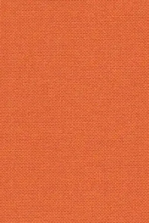 Ordina Subito Tela da ricamo - Etamine Murano 12,6 fili Arancio Zucca (4010) al metro o alla rinfusa - Zweigart