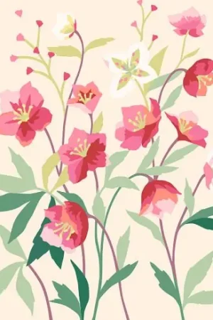 Canovaccio antico - Ellebori - DMC Non Perdere