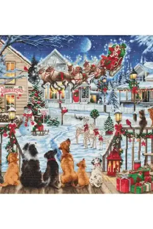 Offerta Speciale kit ricamo a punto croce - Animali in veranda - Luca-S