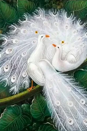 Kit di ricamo con perline - Nobili pavoni - Nova Sloboda Saldi