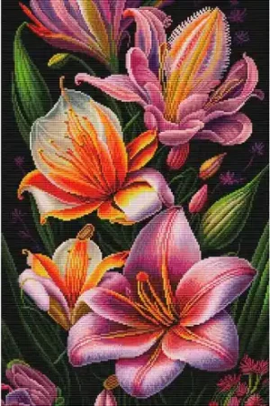 kit ricamo a punto croce - Rapsodia di fiori - Nova Sloboda Soddisfatti O Rimborsati