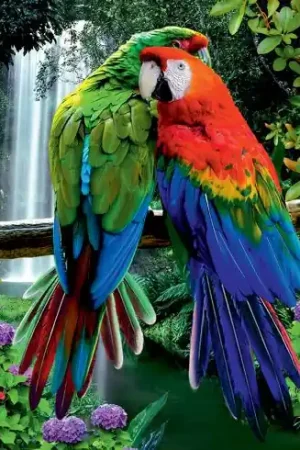 Di Tendenza Kit ricamo diamante su telaio - Davanti alla cascata - Art City