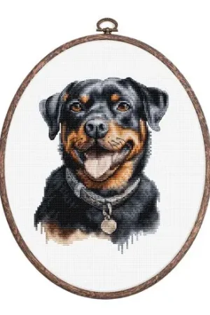 Prezzo Ridotto Kit per ricamo a punto croce con tamburo - Rottweiler - Luca-S