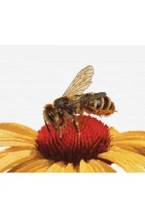 kit ricamo a punto croce - Ape su un'echinacea gialla - Thea Gouverneur Promozione