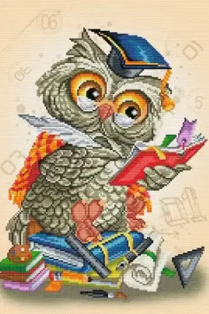 Ultime Pezzi kit ricamo a punto croce - Gufo saggio - Nova Sloboda