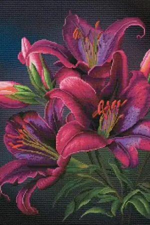 Promo Stagionale kit ricamo a punto croce - Giglio notturno - Nova Sloboda