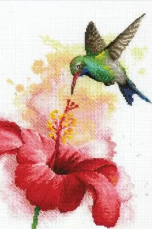 Prezzo Di Fabbrica kit ricamo a punto croce - Colibri - Riolis