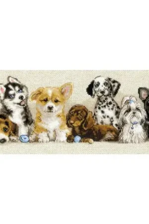 kit ricamo a punto croce - Cucciolo - Riolis Ultima Occasione