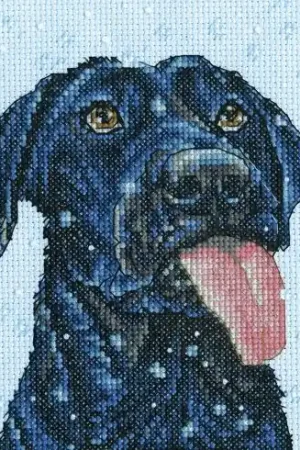 kit ricamo a punto croce - Cane da neve - Dimensions Ultimissimo Modello