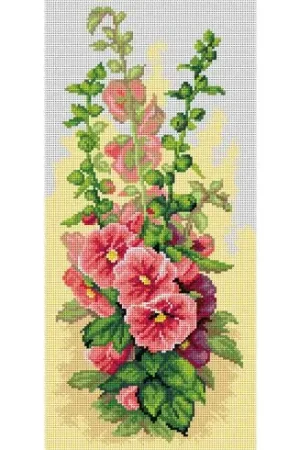 Offerta Canovaccio antico - Rose malvone - Orchidéa