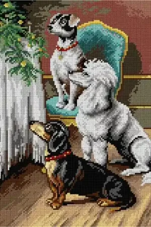 Occasione Canovaccio antico - Un regalo di Natale - Orchidéa