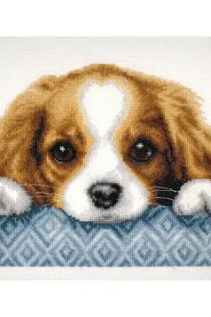 kit ricamo a punto croce - Cane - Vervaco Spedizione Espresso