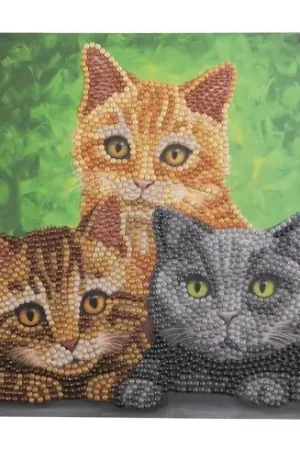 Carta con ricamo a diamante - Ritratti di gatti - Crystal Art D.I.Y Ordina Subito