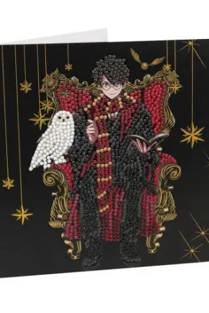 Carta con ricamo a diamante - Harry e Hedwige - Crystal Art D.I.Y Quantità Limitata