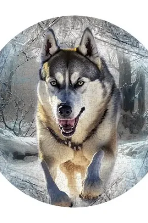 puzzle in legno - Lupo in fuga - 505 pezzi - Wooden City Consegna Rapida