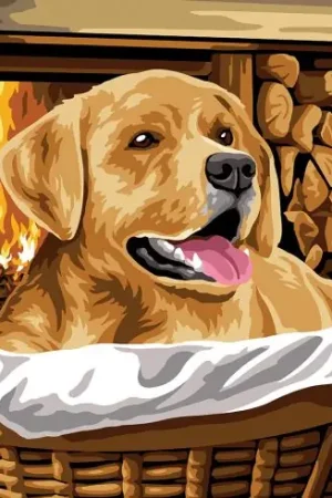 Consegna Rapida Canovaccio antico - Un angolo di fiamma - Margot de Paris