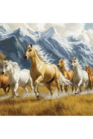 Spedizione Espresso kit ricamo a punto croce - Spirito libero - Luca-S